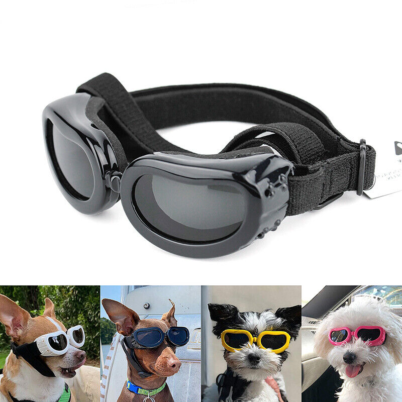 Vacation Style Dog Sunglasses for Small Breeds