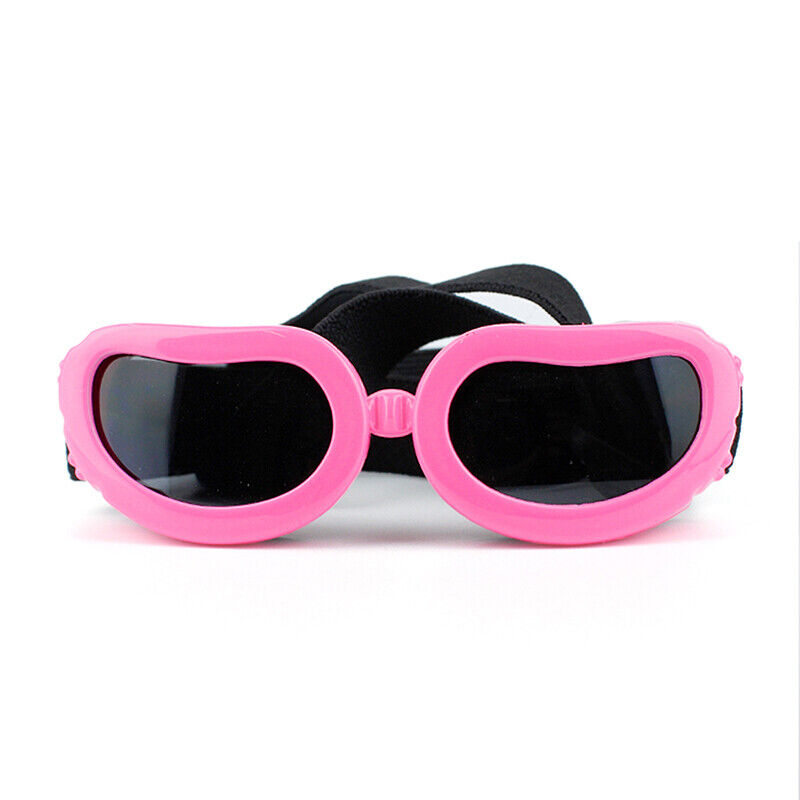 Vacation Style Dog Sunglasses for Small Breeds