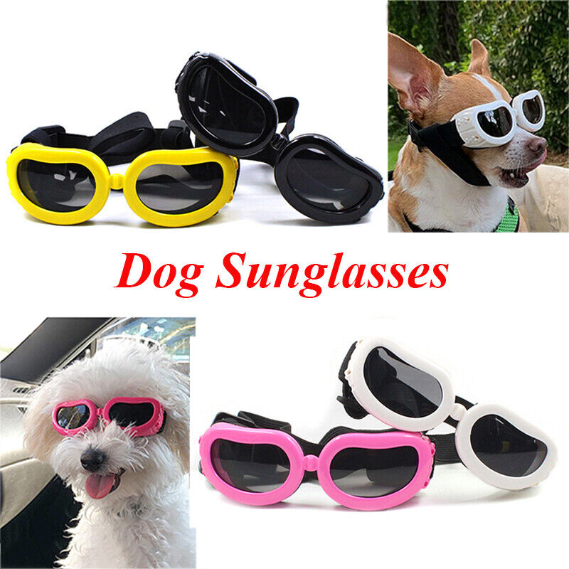 Vacation Style Dog Sunglasses for Small Breeds