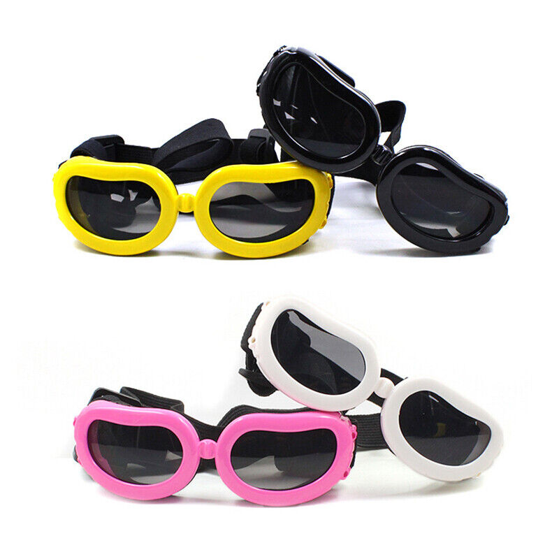 Vacation Style Dog Sunglasses for Small Breeds