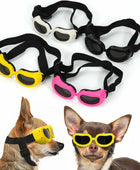 Vacation Style Dog Sunglasses for Small Breeds