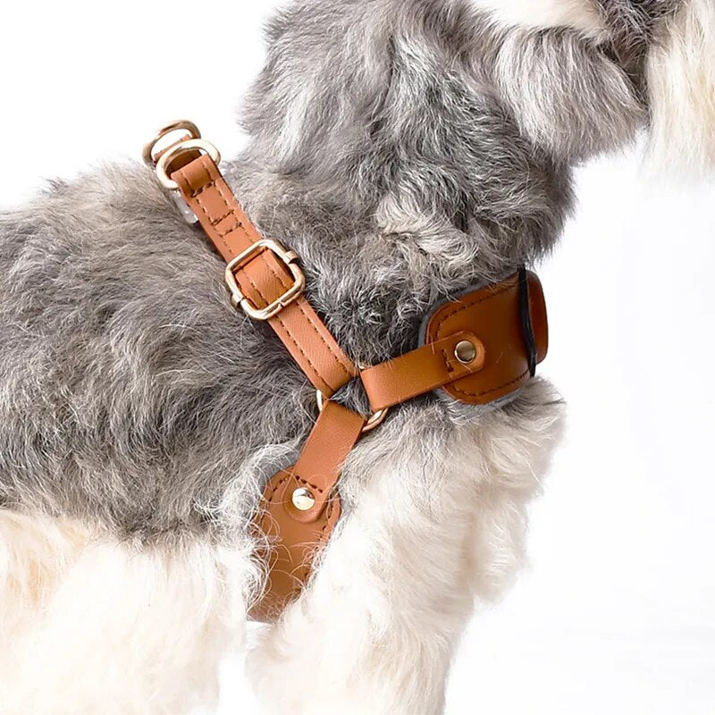 GuidedPaws Smart GPS Dog Harness Kit