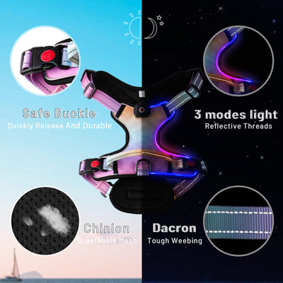 LED Light Up?Dog Harness