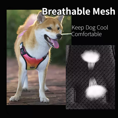 LED Light Up?Dog Harness