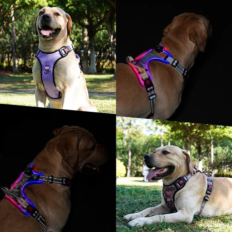 LED Light Up?Dog Harness