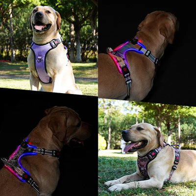 LED Light Up?Dog Harness
