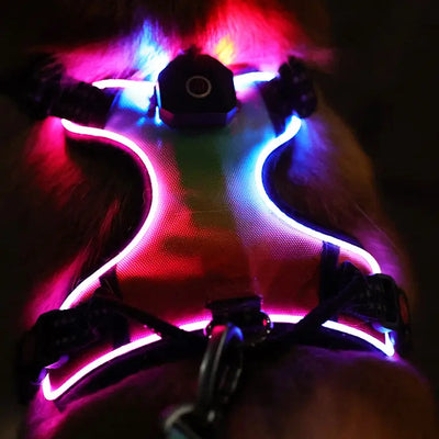 LED Light Up?Dog Harness