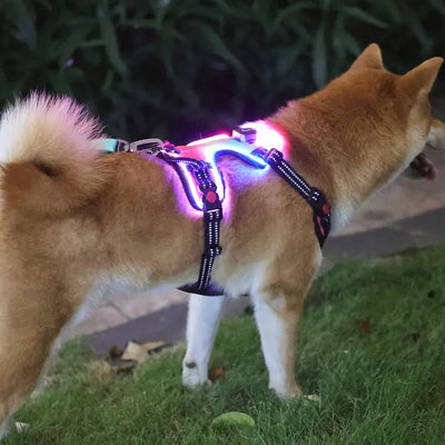 LED Light Up?Dog Harness