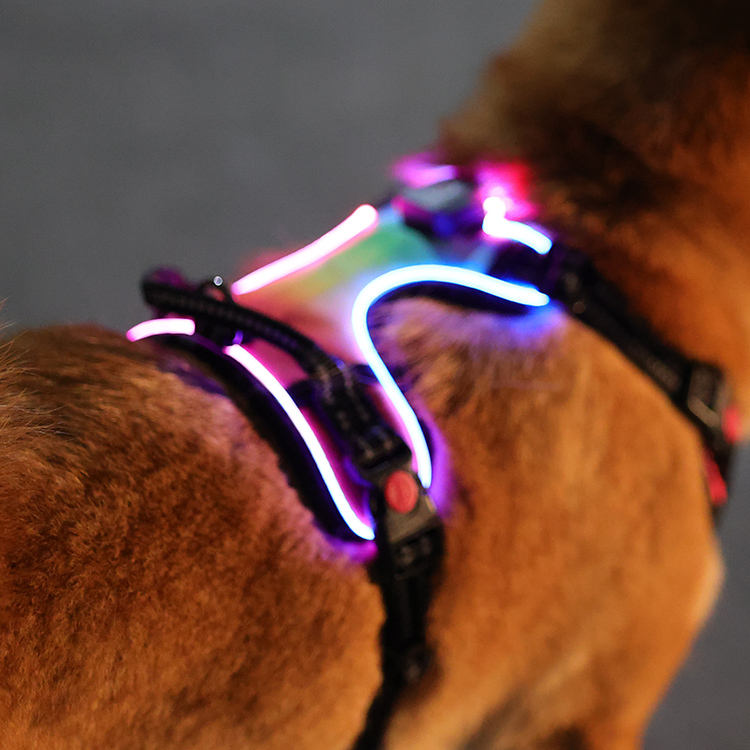 LED Light Up?Dog Harness