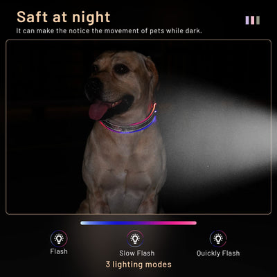 LED Reflective Dog Collar with Rechargeable