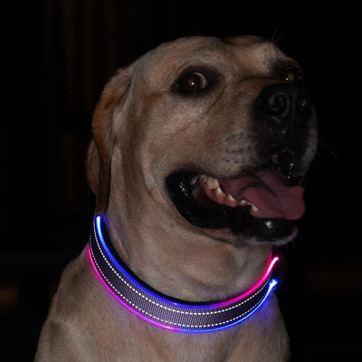 LED Reflective Dog Collar with Rechargeable