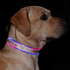 LED Reflective Dog Collar with Rechargeable