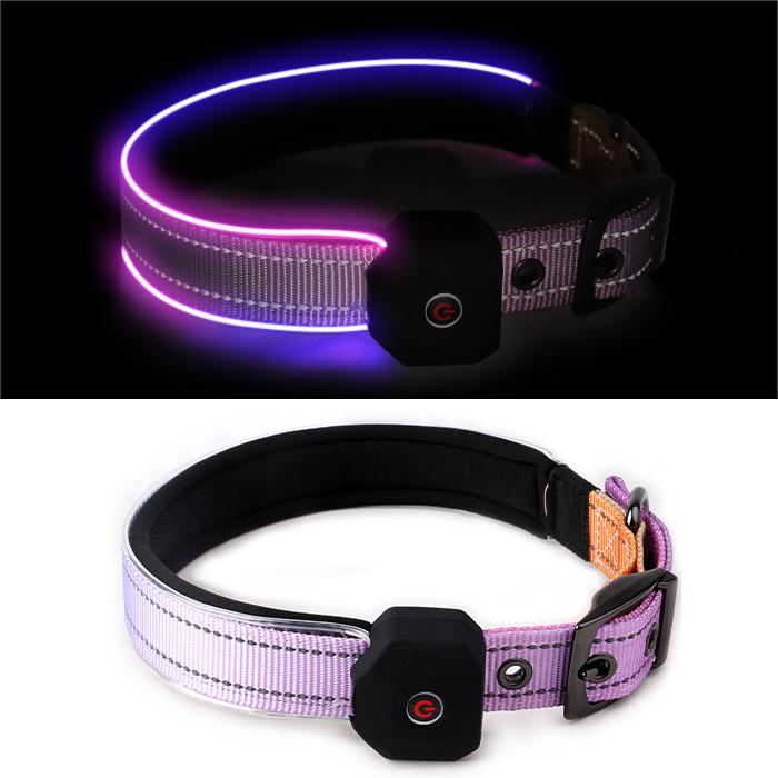 LED Reflective Dog Collar with Rechargeable