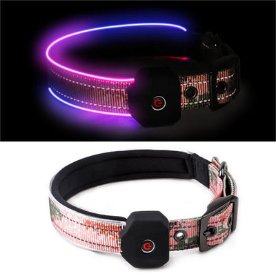 LED Reflective Dog Collar with Rechargeable