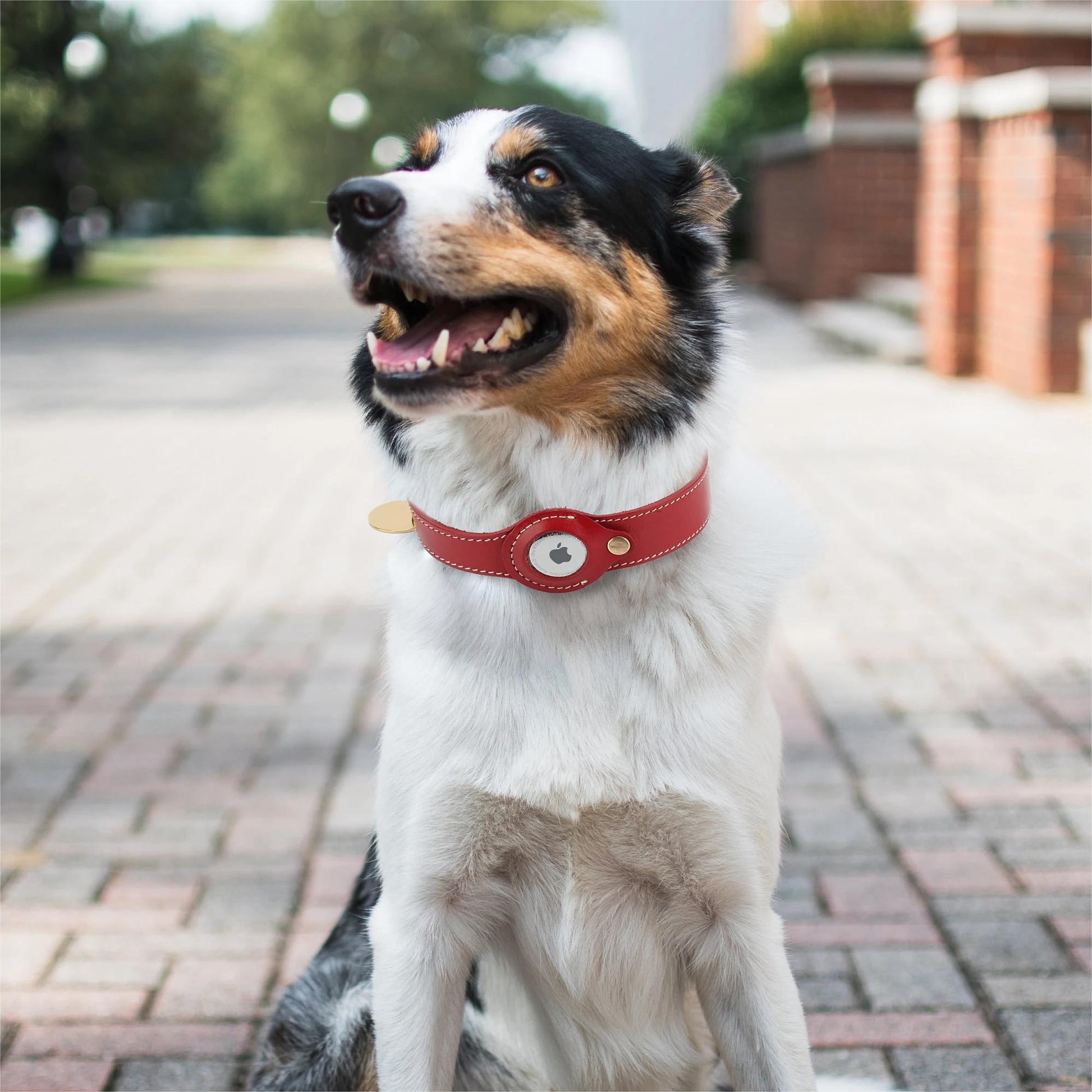 Leather AirTag Pet Collar