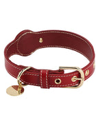 Leather AirTag Pet Collar