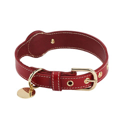 Leather AirTag Pet Collar