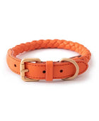 Luxury Leather Dog Collar