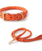 Luxury Leather Dog Collar