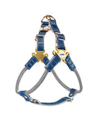 Luxury Leather Dog Harness Leash Set