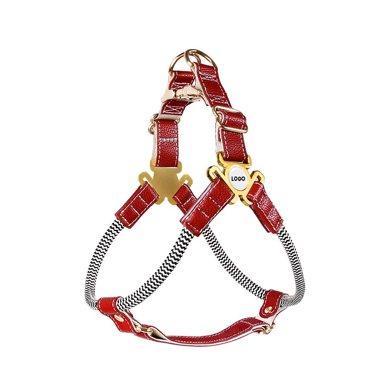 Luxury Leather Dog Harness Leash Set