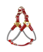 Luxury Leather Dog Harness Leash Set