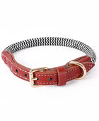 Luxury Leather Dog Harness Leash Set