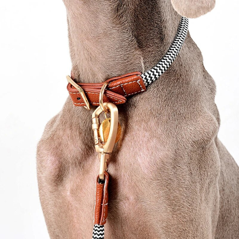 Luxury Leather Dog Harness Leash Set