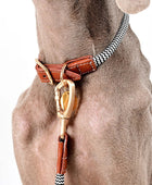 Luxury Leather Dog Harness Leash Set