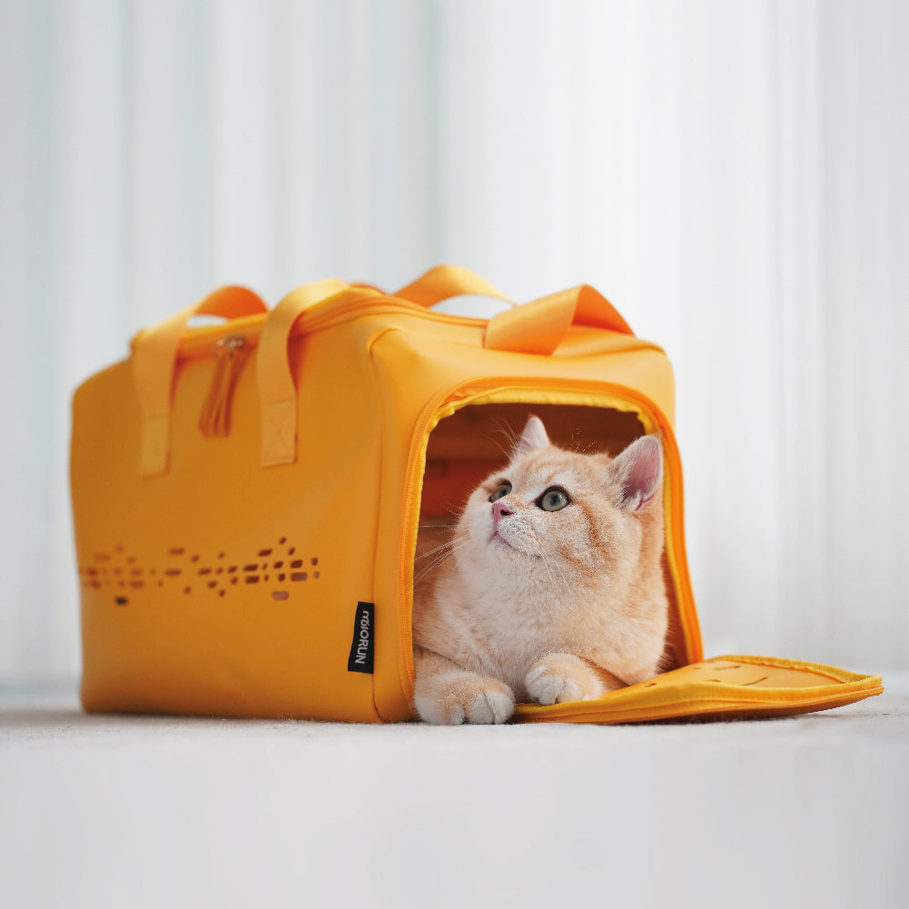 MIORUN Cat Carrier bag for Small Cats and Dogs, PU Leather Pet Carrier bag Airline Approved Soft Sided, Kitty Carrier with Breathable and Comfortable Inner Cushion for Travel