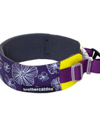 Nylon Heavy Duty Dog Collar