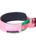 Nylon Heavy Duty Dog Collar