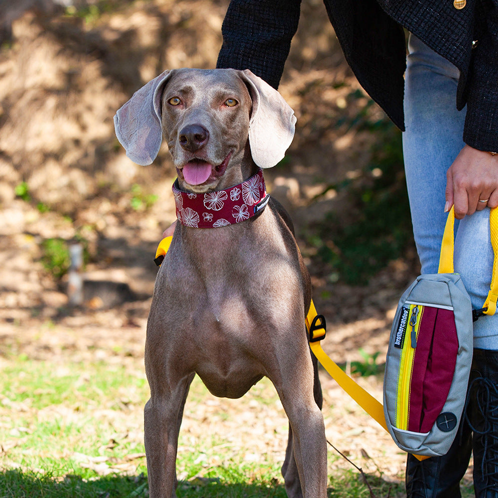 Nylon Heavy Duty Dog Collar