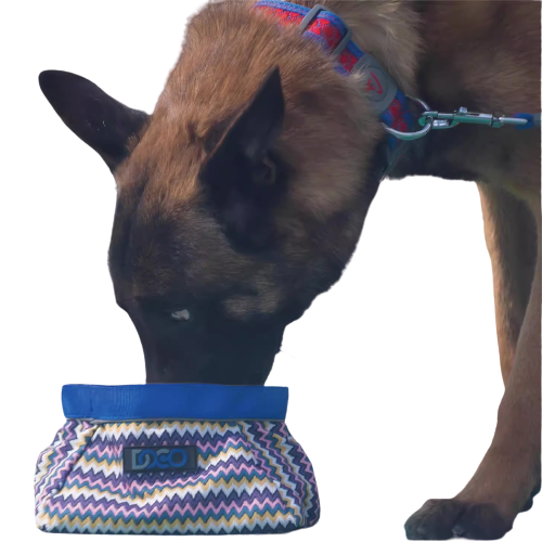 Nylon Magnetic Portable Pet Bowl