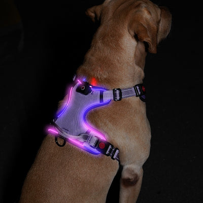 LED Light Up?Dog Harness