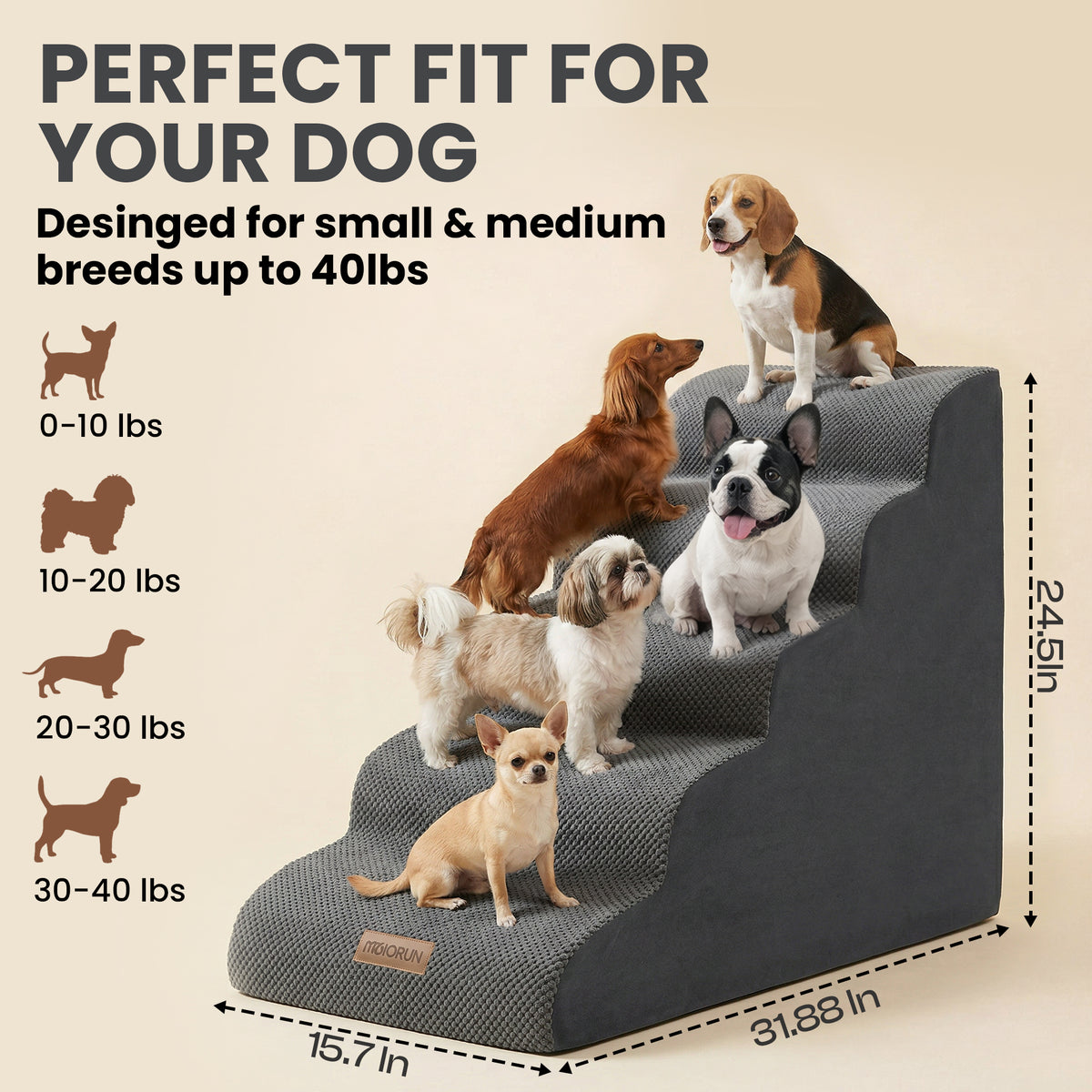 Curved 5-step Dog Stairs