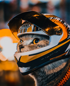 Pet Bike and Motorcycle Rides Helmet