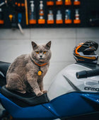 Pet Bike and Motorcycle Rides Helmet