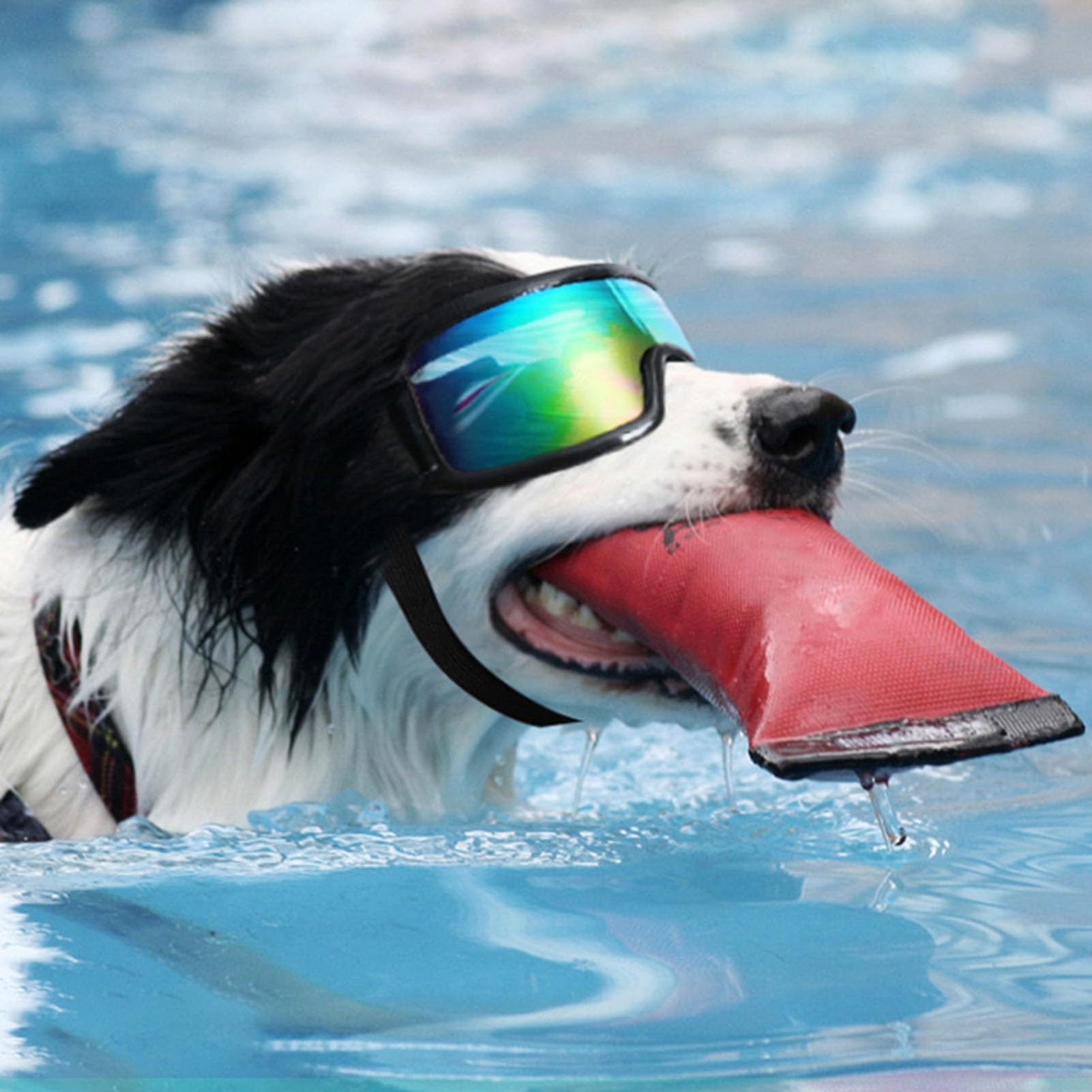 UV Protection Dog Goggles