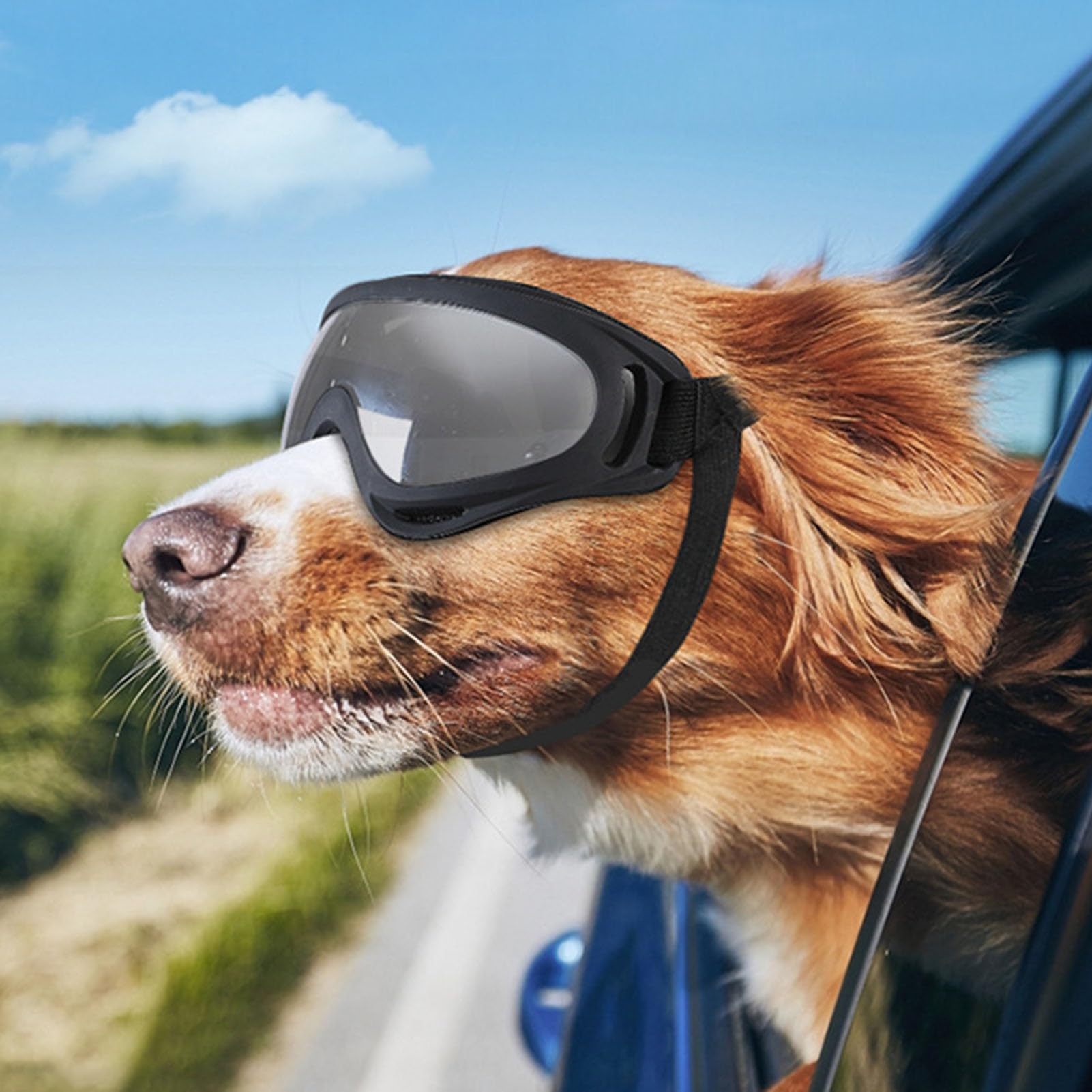 UV Protection Dog Goggles