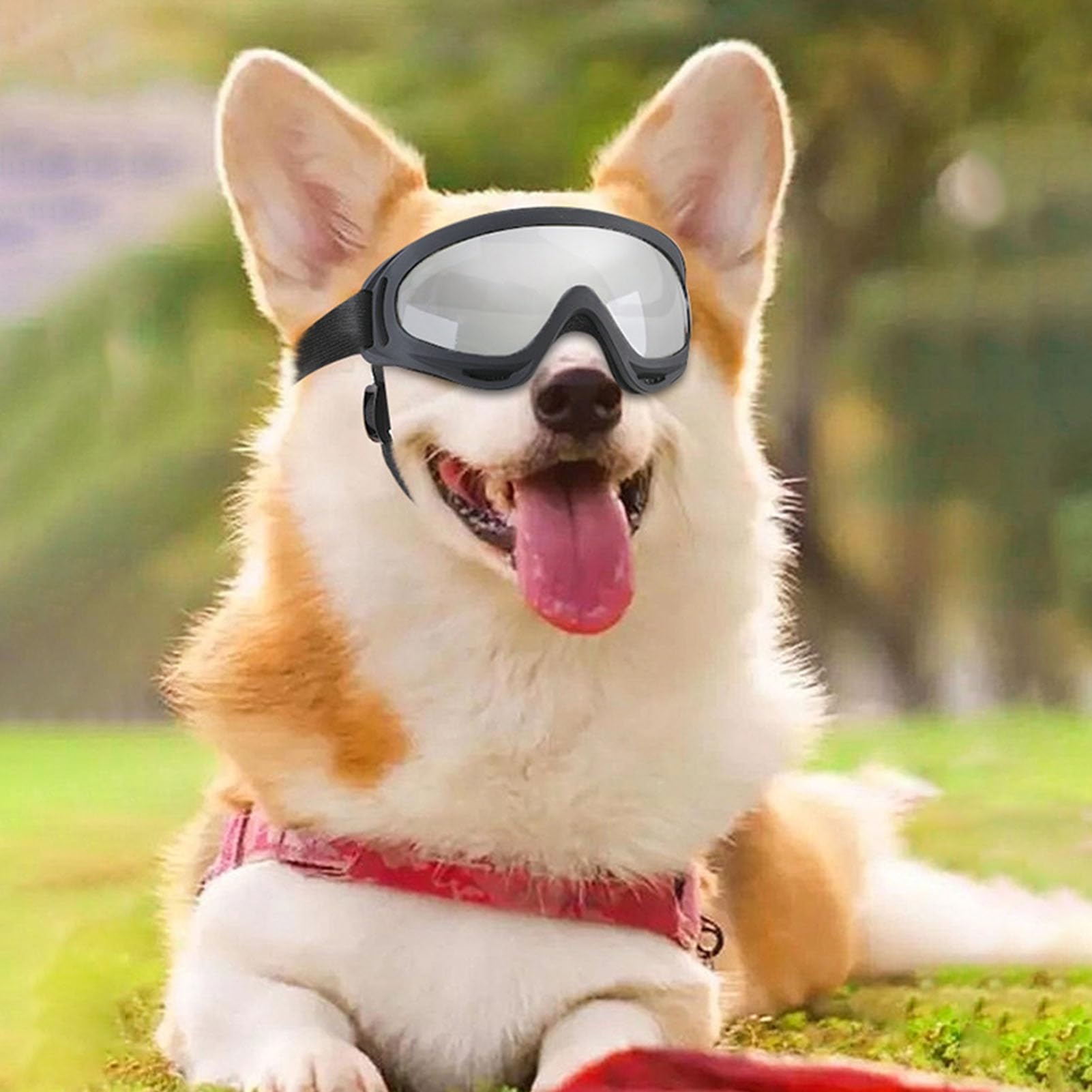 UV Protection Dog Goggles