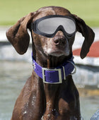 UV Protection Dog Goggles