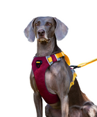 Reflective Walking Hiking Training Harness