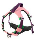 Reflective Walking Hiking Training Harness