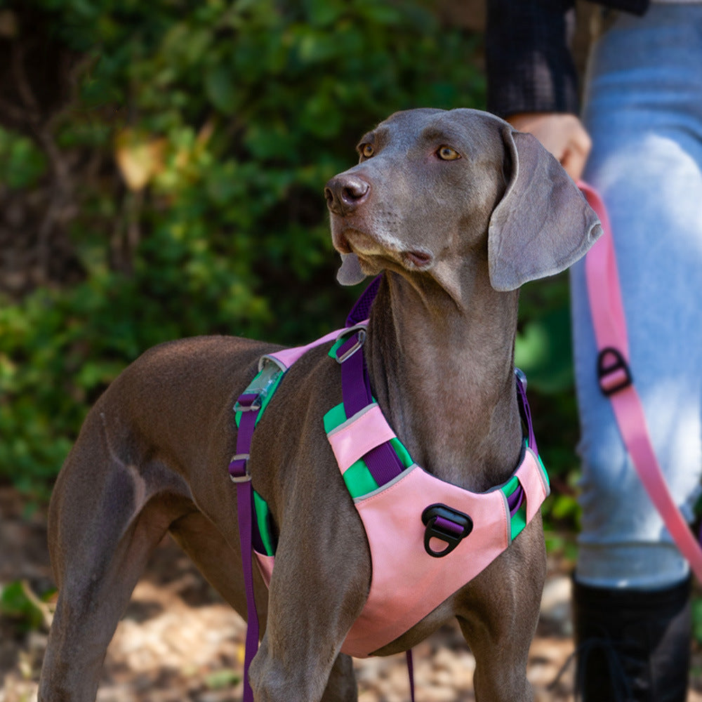 Reflective Walking Hiking Training Harness