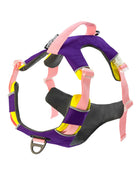 Reflective Walking Hiking Training Harness