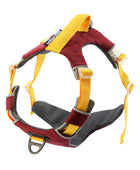 Reflective Walking Hiking Training Harness