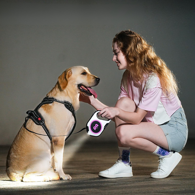 Retractable Dog Leash with LED Light