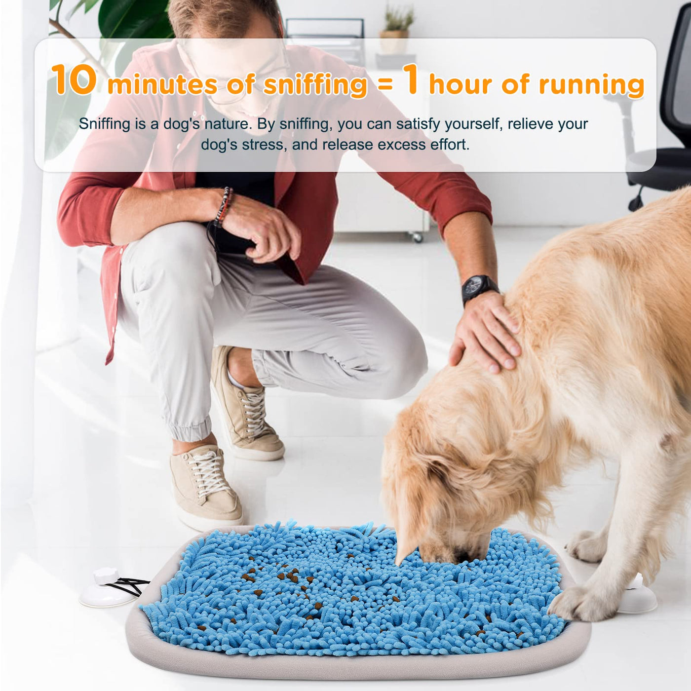 Snuffle Mat for Dogs