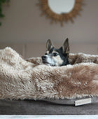 Transformable Furry Dog Bed